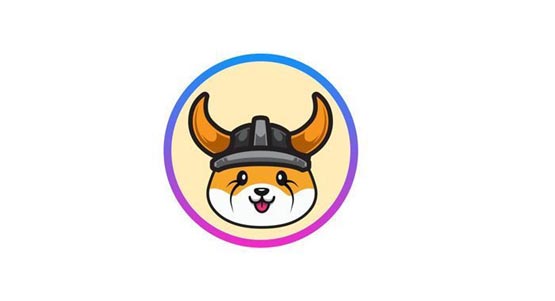 floki币什么时候发行的？floki币发行时间介绍