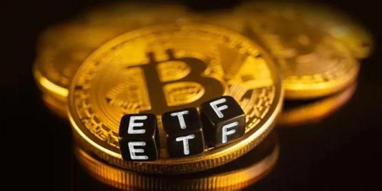 贝莱德：比特币现货etf用户80%是自主投资者！投顾多数仍观望