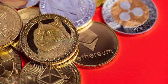 山寨币走熊？10x research：前115大加密货币均价自高点腰斩50%