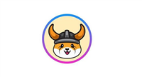 FLOKI币什么时候发行的?FLOKI币怎么样?