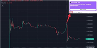 Meme币RIZZ直播时暴跌90%!创始人哽咽:不是我卖的