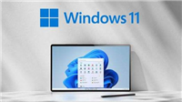 Windows11键盘失灵怎么办 Windows11键盘失灵解决方法
