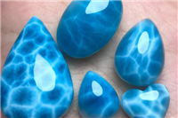 多米尼加10大必买清单：海纹石上榜(朗姆酒最值得推荐)