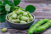 中国十大产蚕豆大省排名