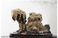 中国十大观赏石品种排行​榜