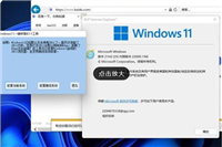 Win11如何下载安装ie浏览器?Win11安装ie浏览器详细步骤