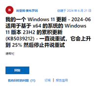 Win11 用户反馈无法安装微软 6 月更新,卡在 25% 进度