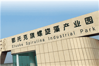 世界藻都：位于内蒙古鄂尔多斯鄂托克旗(园区面积达12400亩)