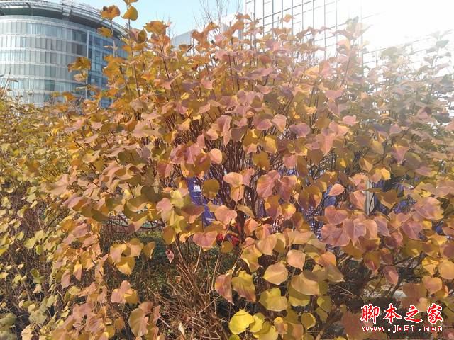 华硕飞马8平板值得买吗?华硕飞马8平板电脑全面深度评测图解