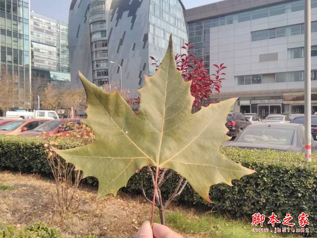 华硕飞马8平板值得买吗?华硕飞马8平板电脑全面深度评测图解