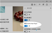 win10系统edge浏览器怎么禁止flansh加载?