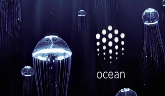 ocean币怎么样？值得投资吗？
