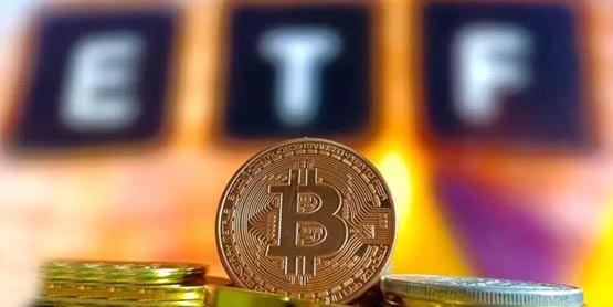 终结连续7天资金大失血！美国比特币现货etf恢复净流入