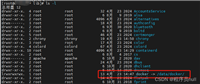 Docker目录迁移的实现示例