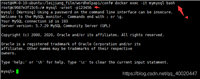 解决docker容器中出现Access denied for user 'root'@'172.17.0.2'(using password: YES)问题