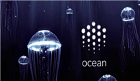 一文详细了解OCEAN币怎么样?