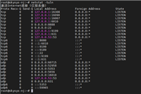 详解如何在Ubuntu上检查、开启、关闭端口
