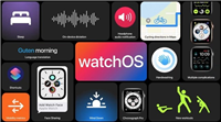 WatchOS 7更新了哪些内容?WatchOS 7更新跳舞模式详解