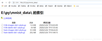 如何解决MNIST数据集下载速度较慢并失败的问题