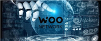 WOO币发行量和流通量是多少?WOO币发行量和流通量介绍