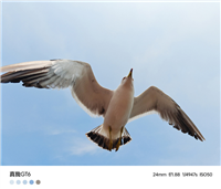 索尼 50MP 传感器 + 超光影引擎算法:realme 真我 GT6 手机拍摄样张公布