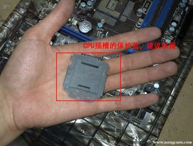 cpu保护盖（点击图片：查看大图）
