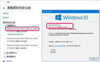 Win10 20H1快速预览版19013怎么手动安装?