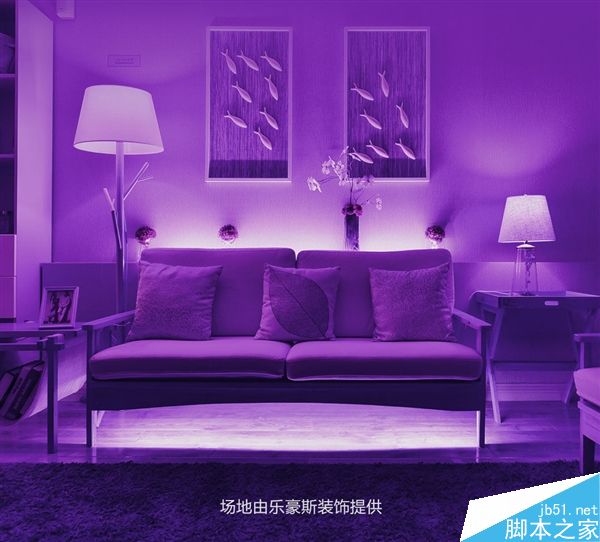 小米yeelight彩光灯带发布:169元/60颗灯泡