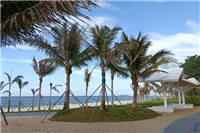 全球十大富人区排名：香港半山豪宅区上榜，看看顶级富豪都住哪里