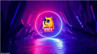 一文分析POLYDOGE币未来潜力怎么样?
