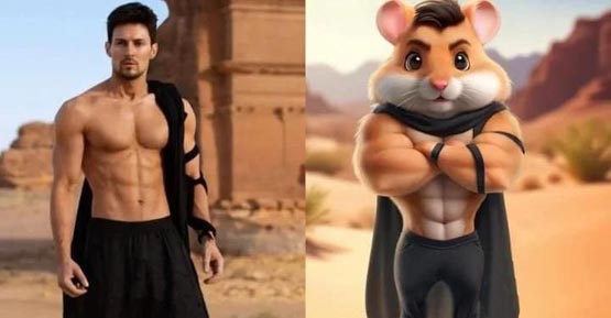 telegram创始人pavel durov：hamster kombat(仓鼠快打)即将在ton链发币
