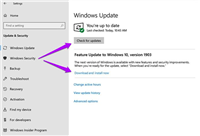 Win10专业版下Light主题不工作怎么办?