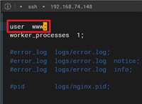 nginx全局块的user指令的实现示例
