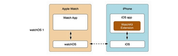 为什么苹果当初没让应用直接跑在apple watch上？