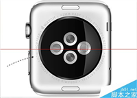 Apple Watch序列号在哪里怎么看？