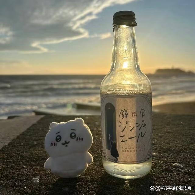 24年大批程序员失业,一直找不到工作,大龄程序员出路在哪里?