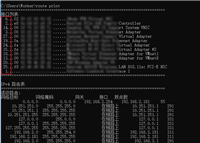 Windows系统中通过route命令添加自定义永久路由的方法