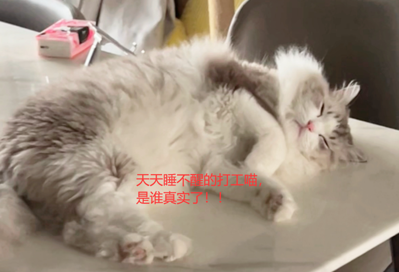 530b9a7e0a634b81bfe44228d5ff8023.png