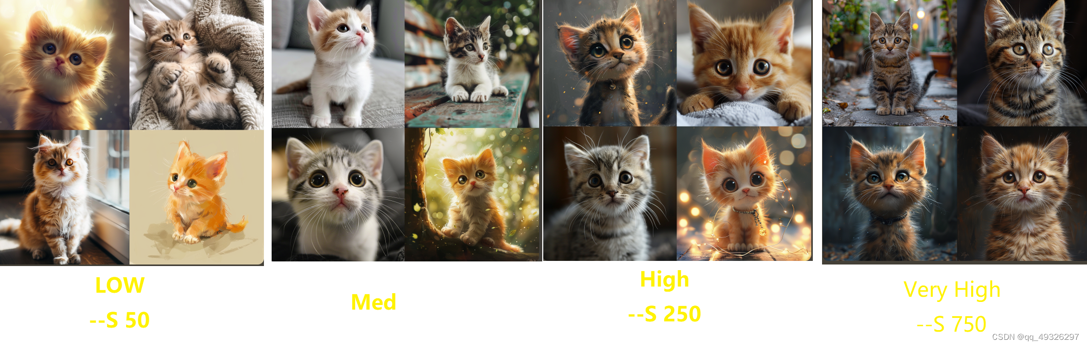 a cute little cat