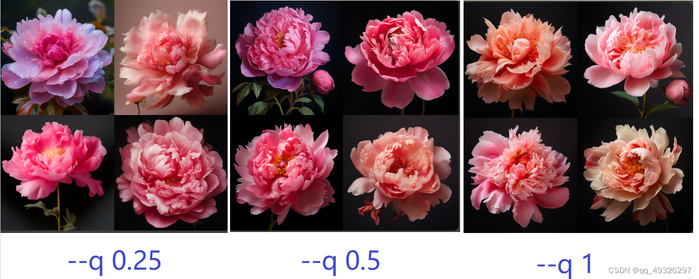 a peony flower