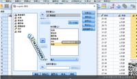 自学SPSS 二元logisitic回归(基本操作)