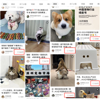 Springboot实战:AI大模型+亮数据代理助力短视频时代