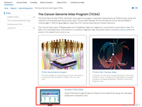 新版TCGA数据转录组表达数据下载及整理（R语言）