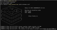 无法启动Redis打开redis-server闪退的问题解决办法