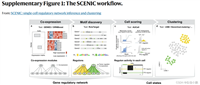 scenic：单细胞调控网络推理和聚类