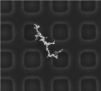 python-opencv 一种基于聚类的图像过分割解决办法