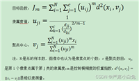 基于FCM算法优化的图像分割研究(附源代码)