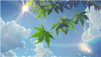 LeetCode53.最大子数组和