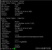 CentOS与Kylin-Desktop-V10-SP1的Docker安装教程