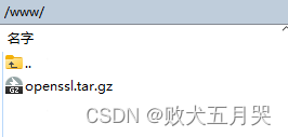 上传opelssl